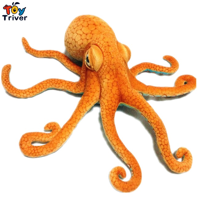 Cephalopod Transparent Free PNG