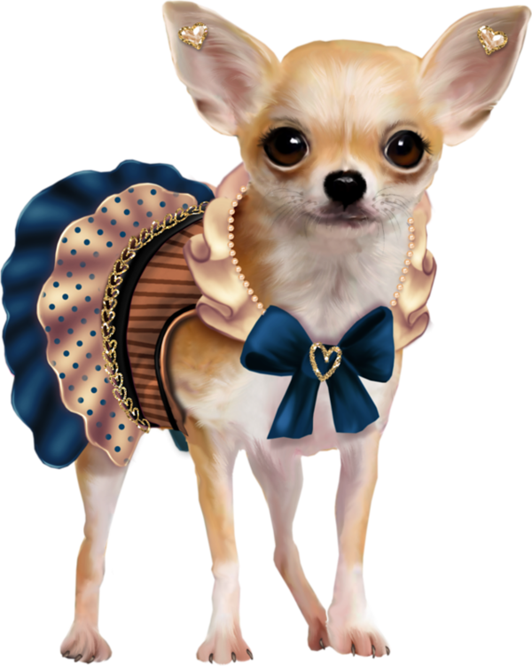 Chihuahua PNG Images HD