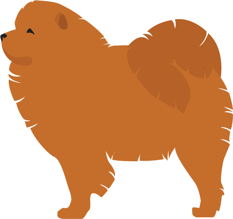 Chow Chow Background PNG Image