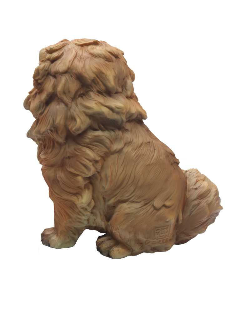 Chow Chow PNG Images HD