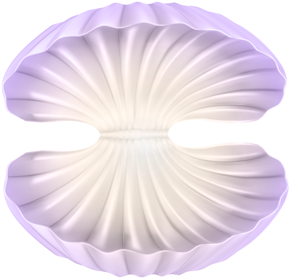Clams PNG Clipart Background