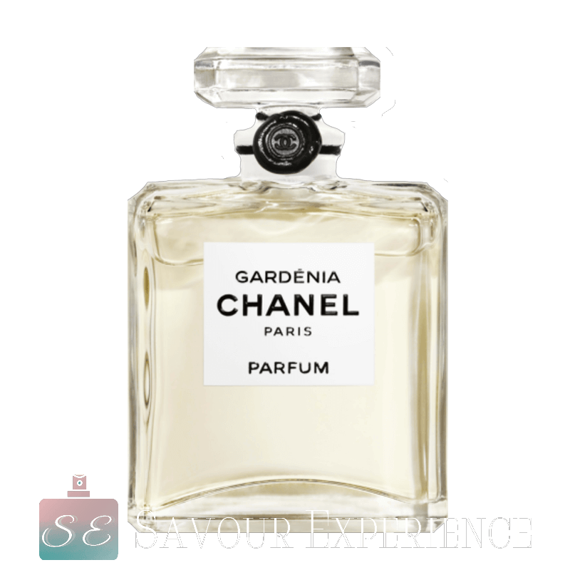 Coco Chanel PNG Images HD