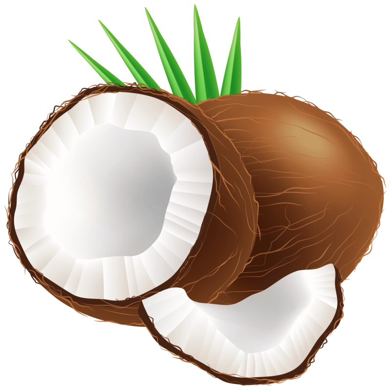 Coconut Fundo de leite PNG Image