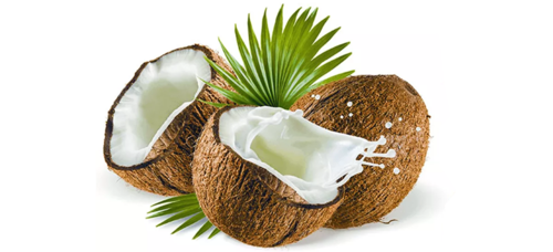 Coconut Imagens de leite png hd