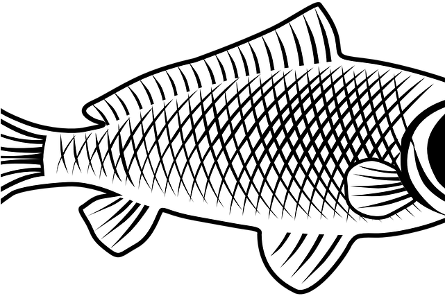 Common Carp Background PNG Image