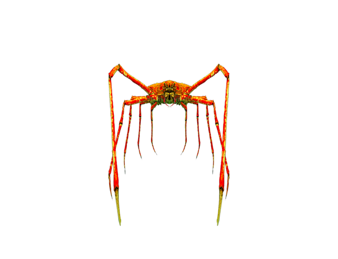 Crab Spiders Background PNG Image