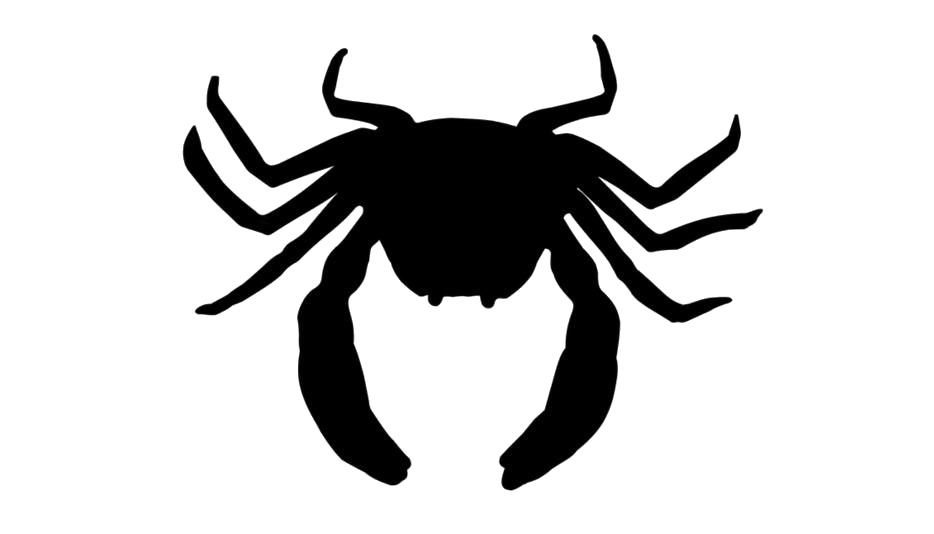 Crab Spiders PNG Pic Background