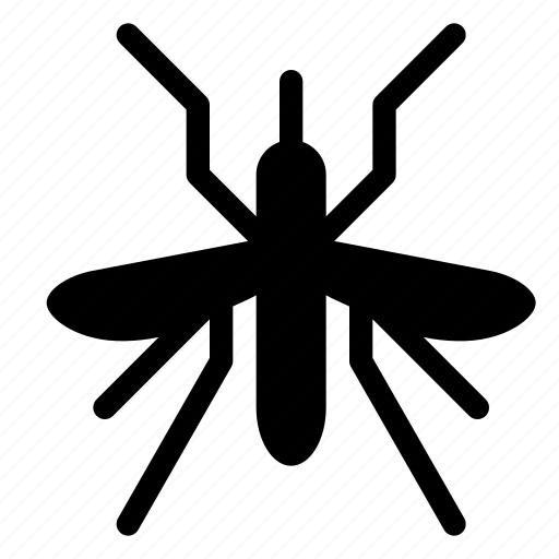 Crane Fly Background PNG Image
