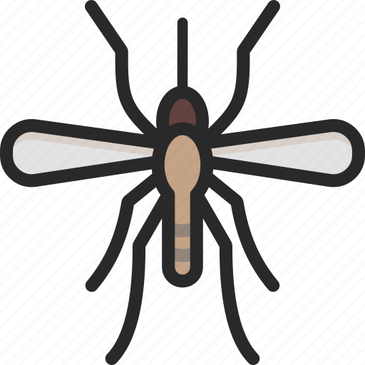 Crane Fly Download Free PNG