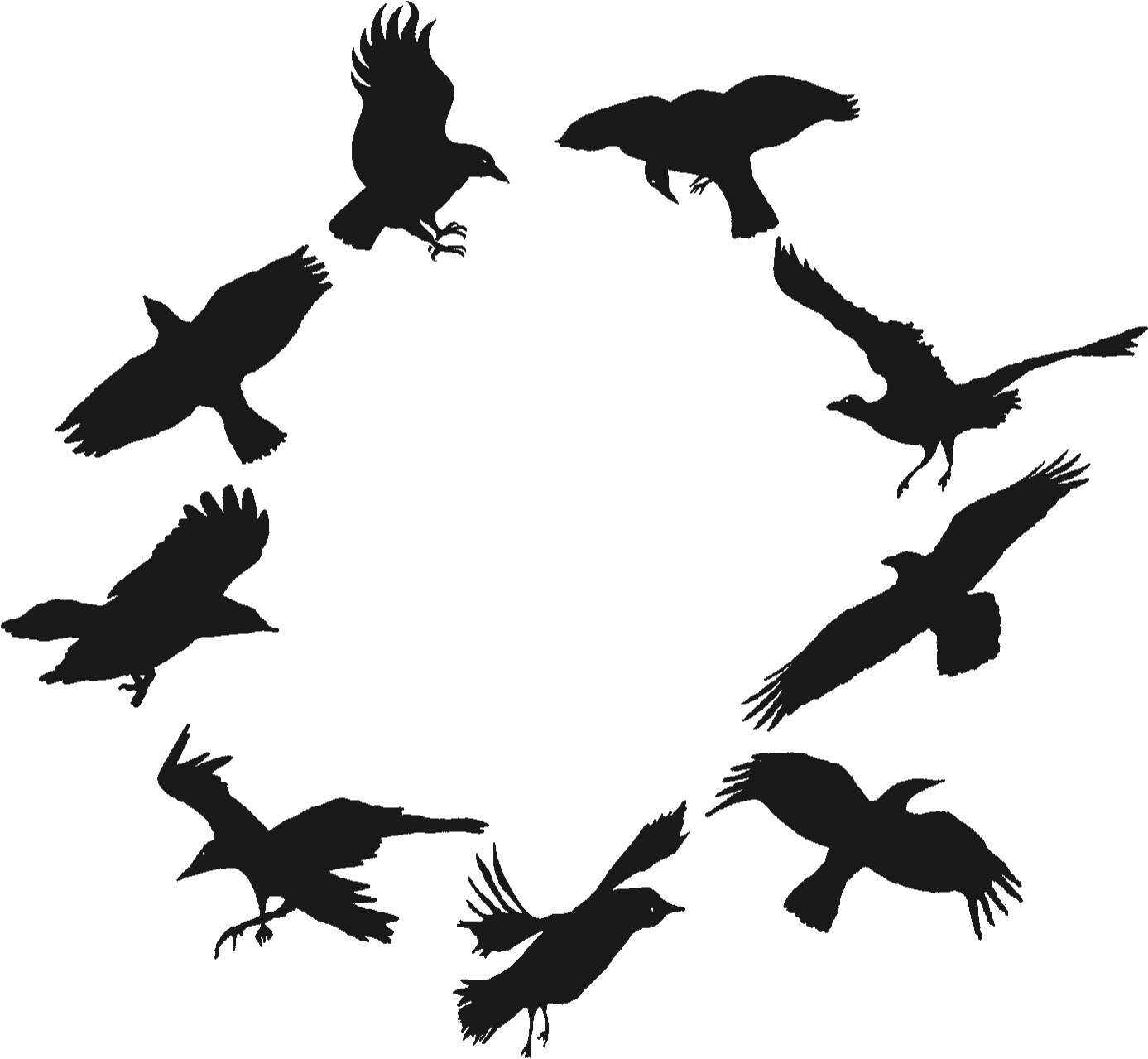 Crows Transparent Image