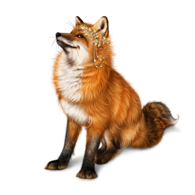 Dhole PNG Clipart Background
