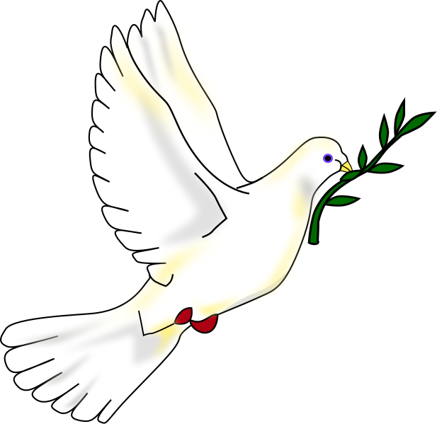 Dove Download Free PNG