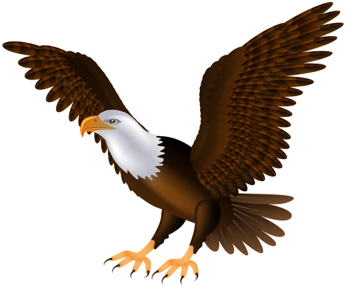 Eagles Background PNG Image