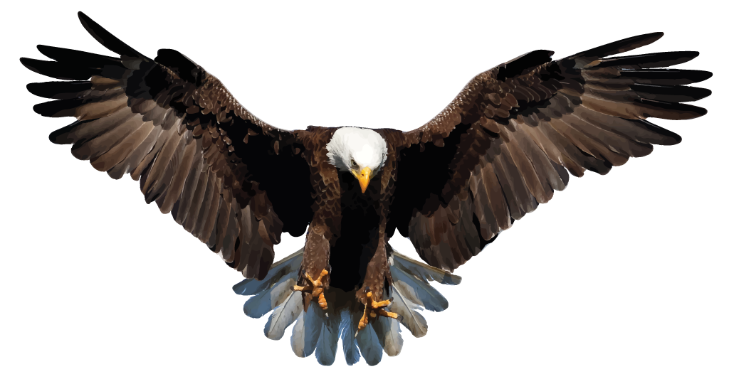 Eagles Download Free PNG