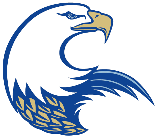 Eagles PNG Pic Background