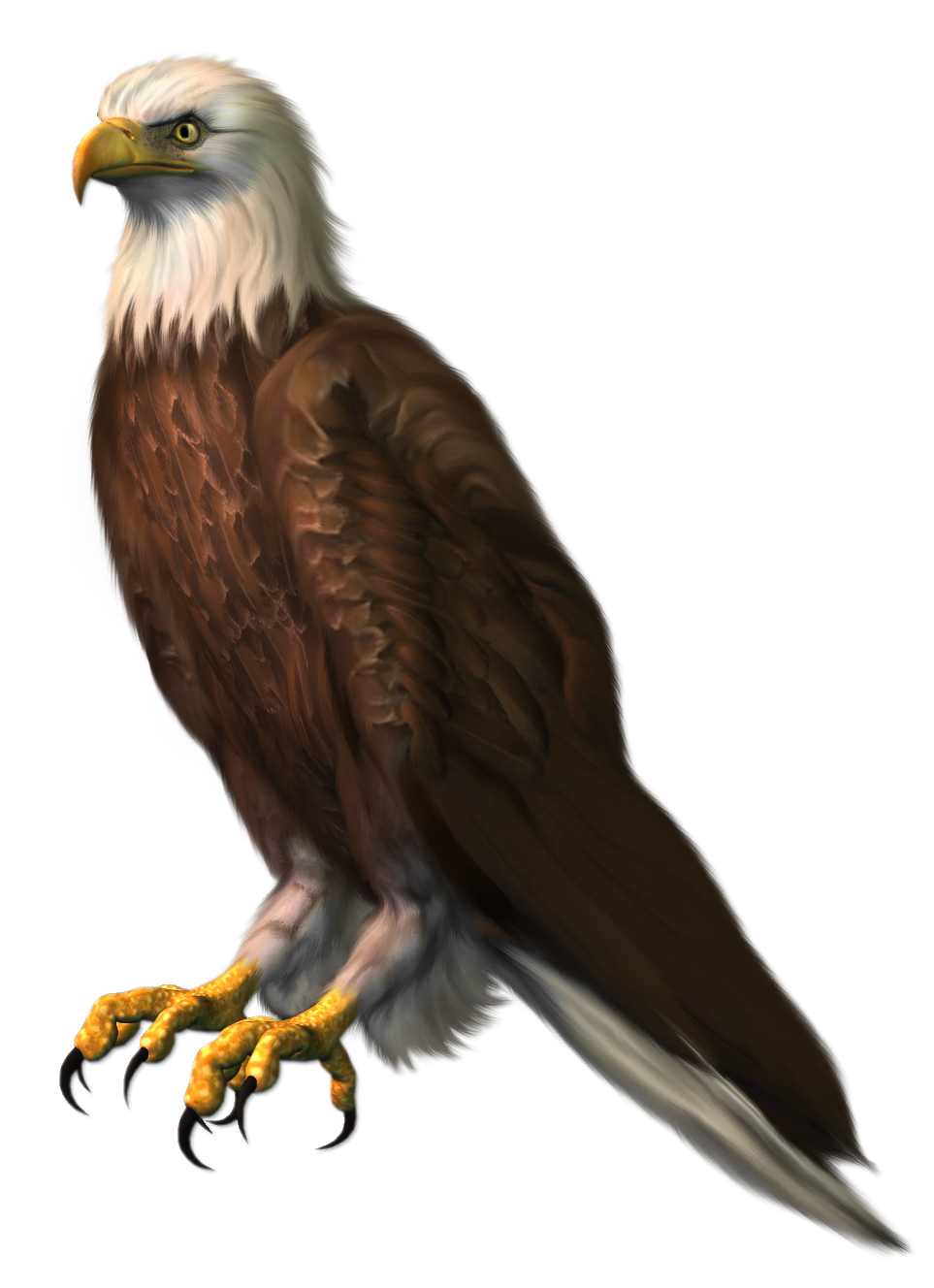 Eagles Transparent PNG