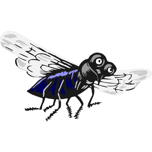 Fly Insect PNG Photo Image