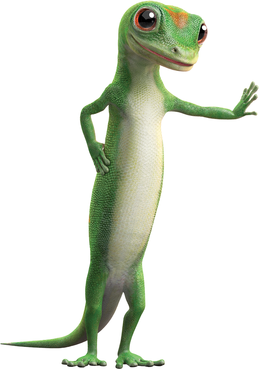 GEICO Background PNG Image
