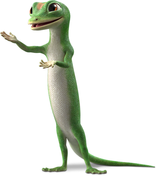 GEICO Free PNG