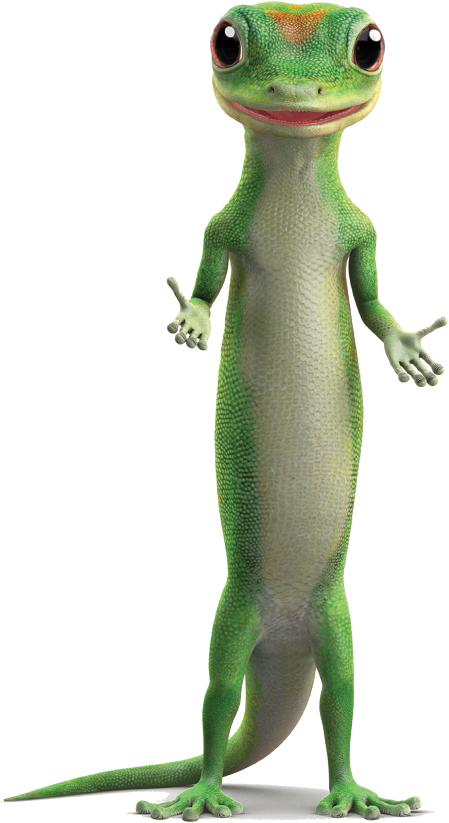 GEICO PNG Clipart Background