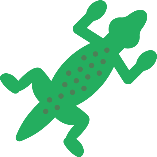 Gecko PNG HD Quality