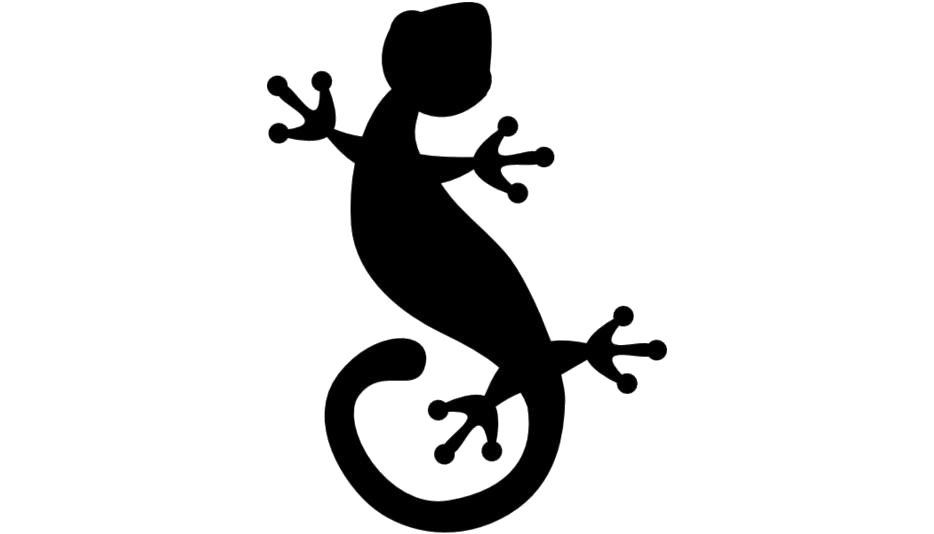 Gecko PNG Photo Image