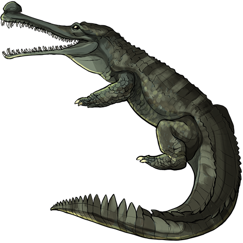 Gharials PNG Images HD