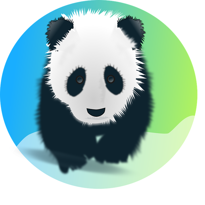 Giant Pandas Background PNG