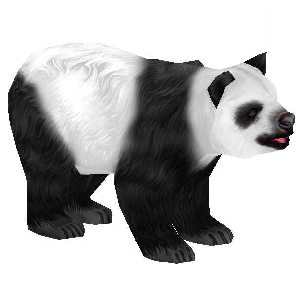 Giant Pandas Free PNG