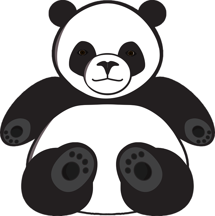 Giant Pandas PNG Pic Background