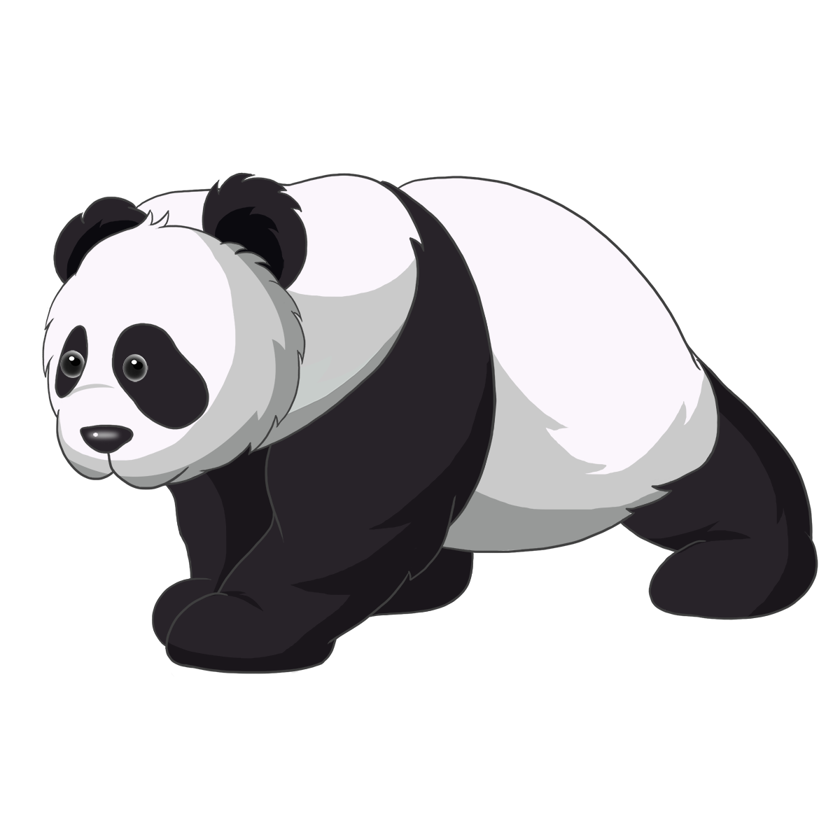 Giant Pandas Transparent Free PNG
