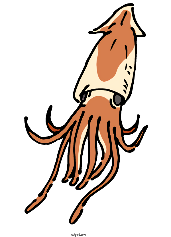Giant Squid Transparent Image