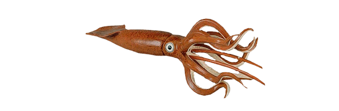 Giant Squid Transparent PNG