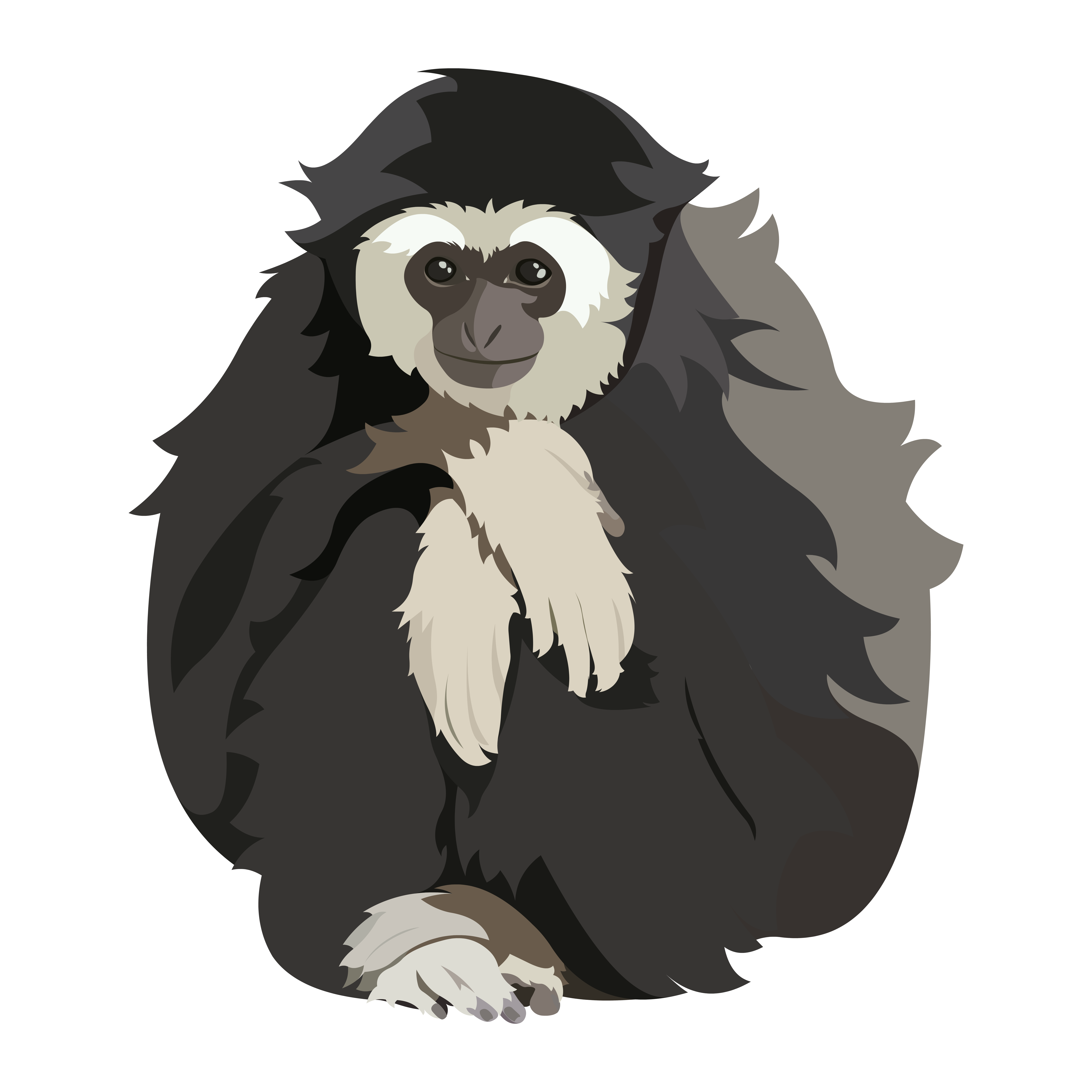 Gibbon PNG HD Quality