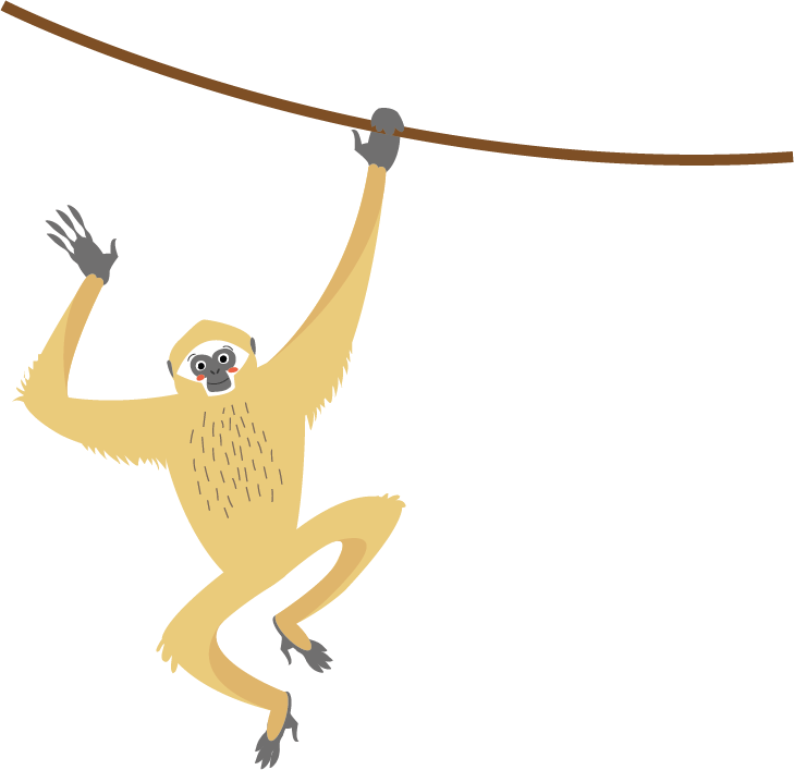 Gibbon PNG Photos