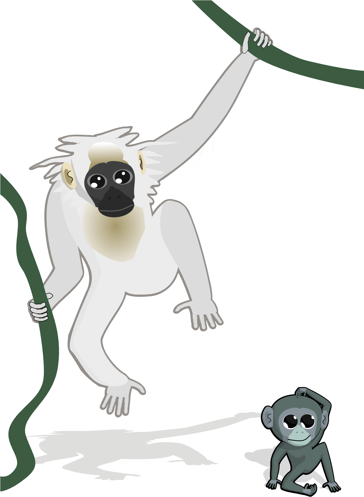 Gibbon Transparent PNG