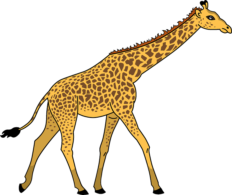Giraffe Transparent Image