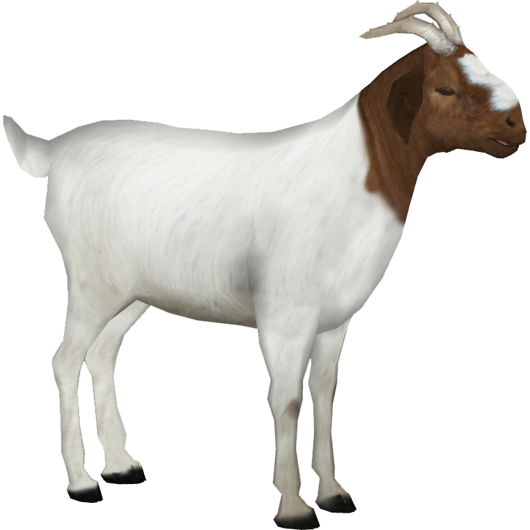 Goat PNG Background
