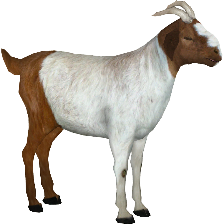 Goat PNG Free File Download