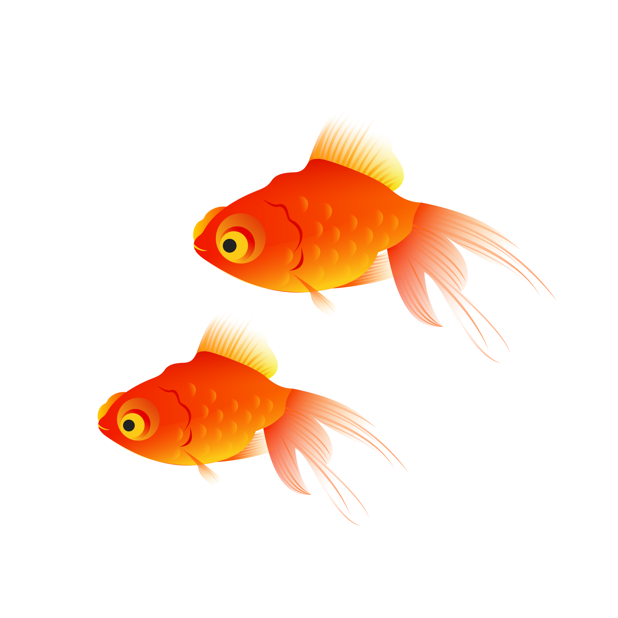 Goldfish Free PNG