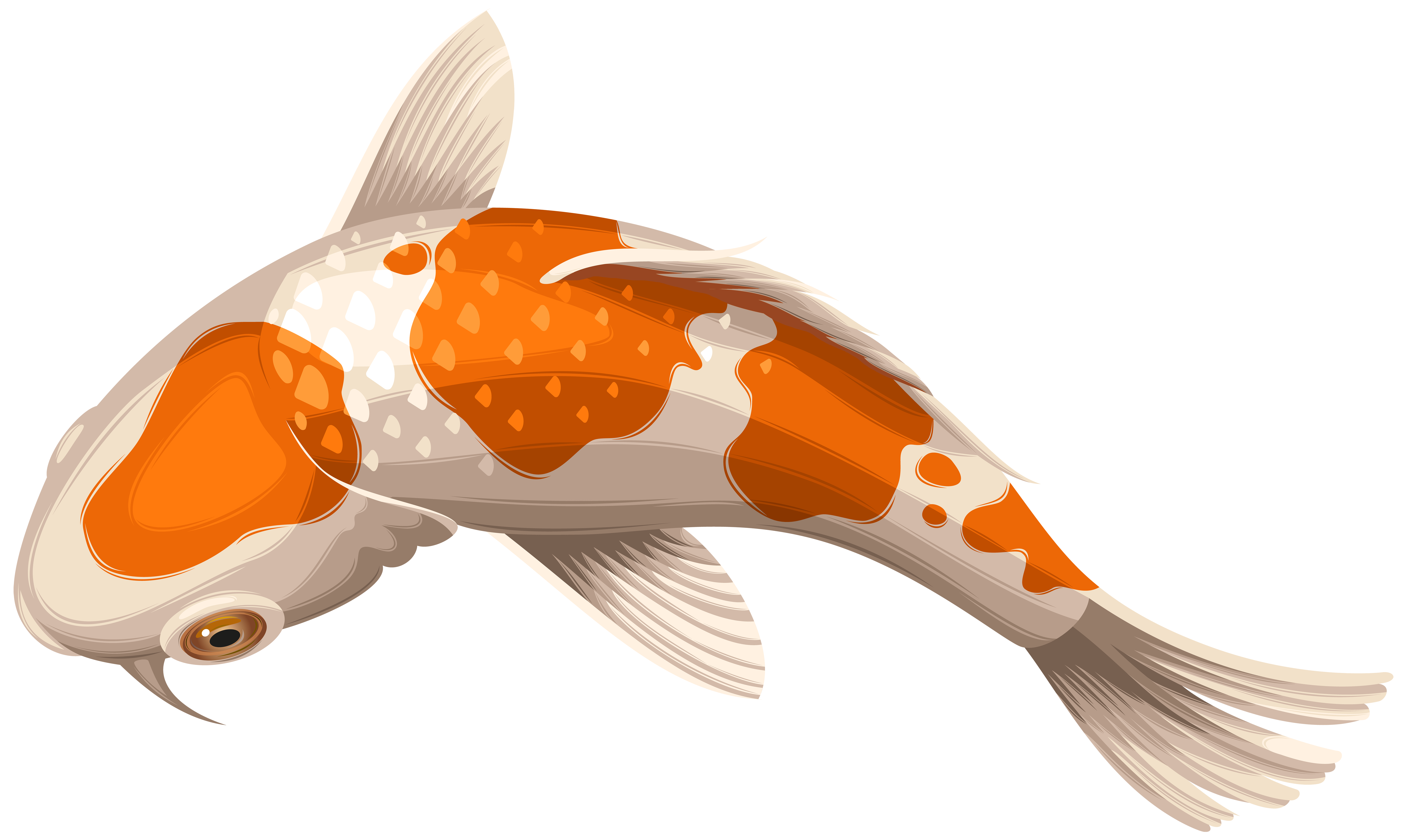 Goldfish PNG Photos