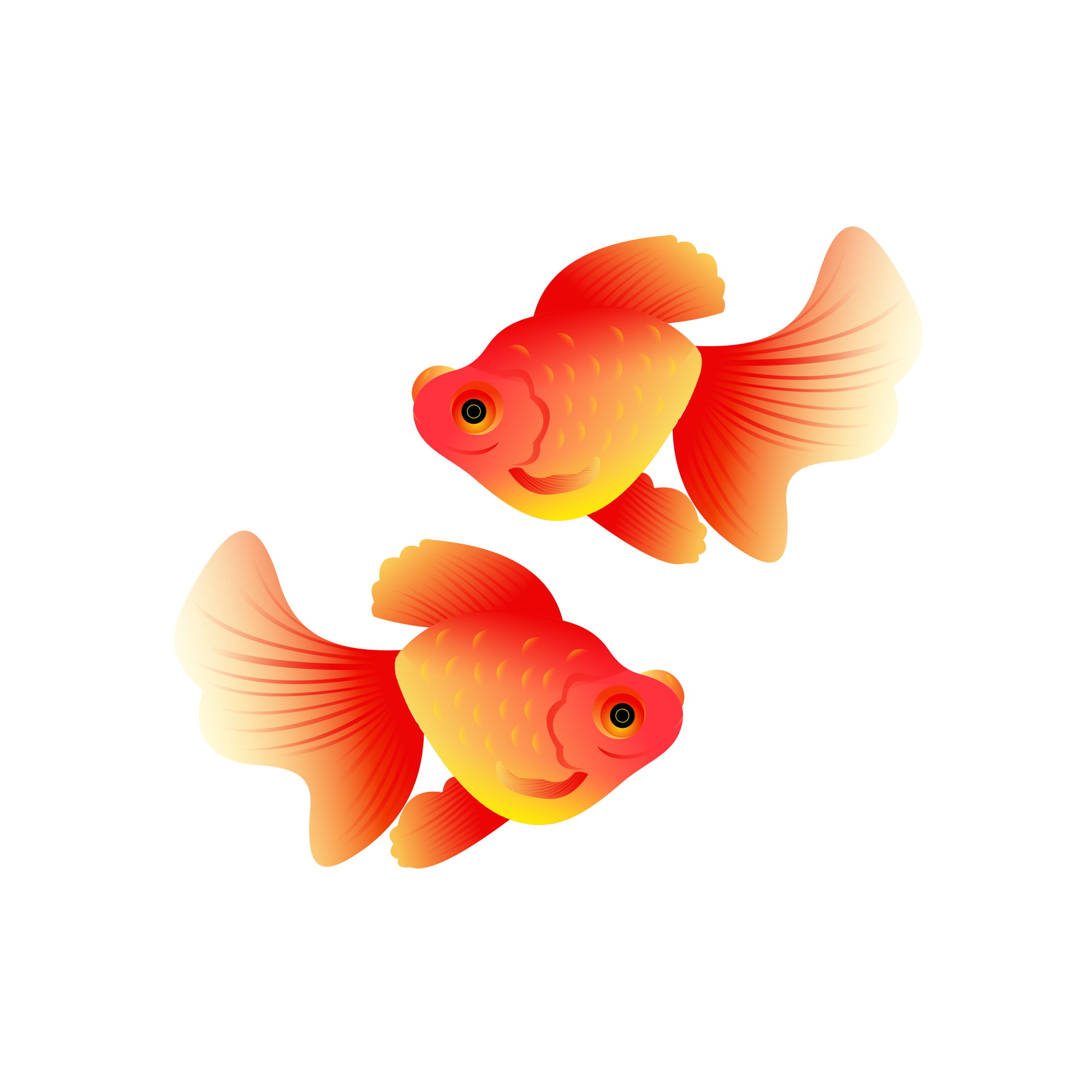 Goldfish Transparent Background