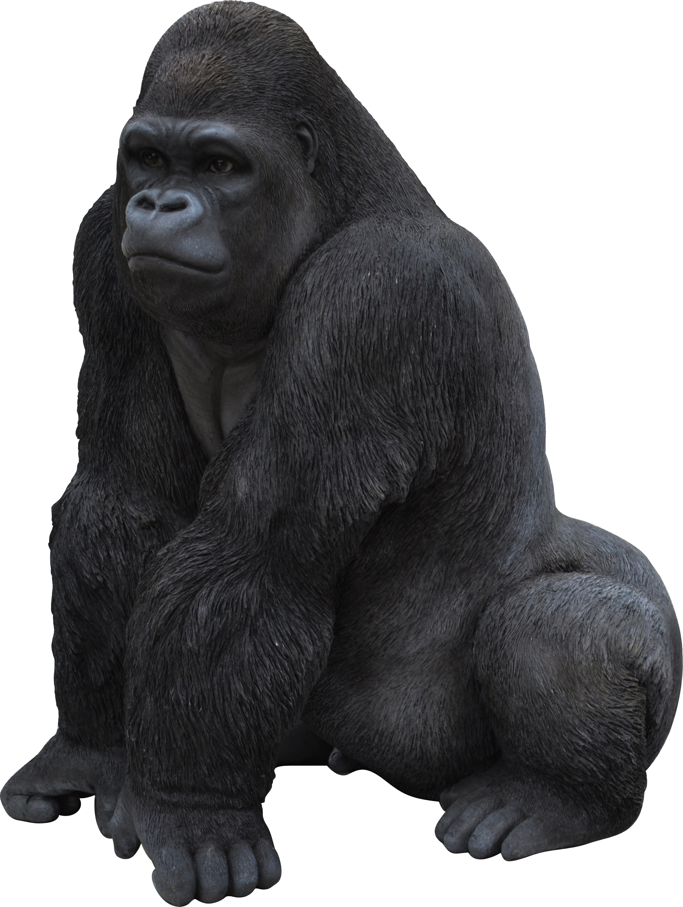 Gorilla PNG Free File Download
