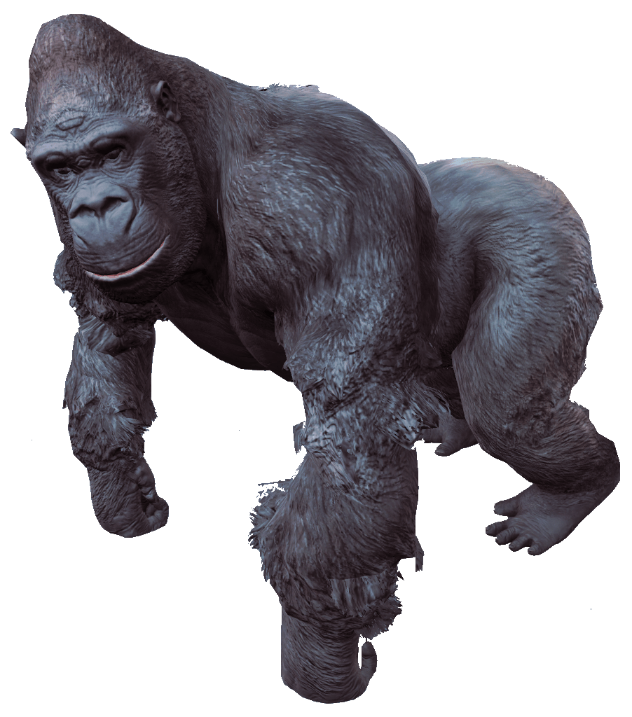 Gorilla PNG HD Quality