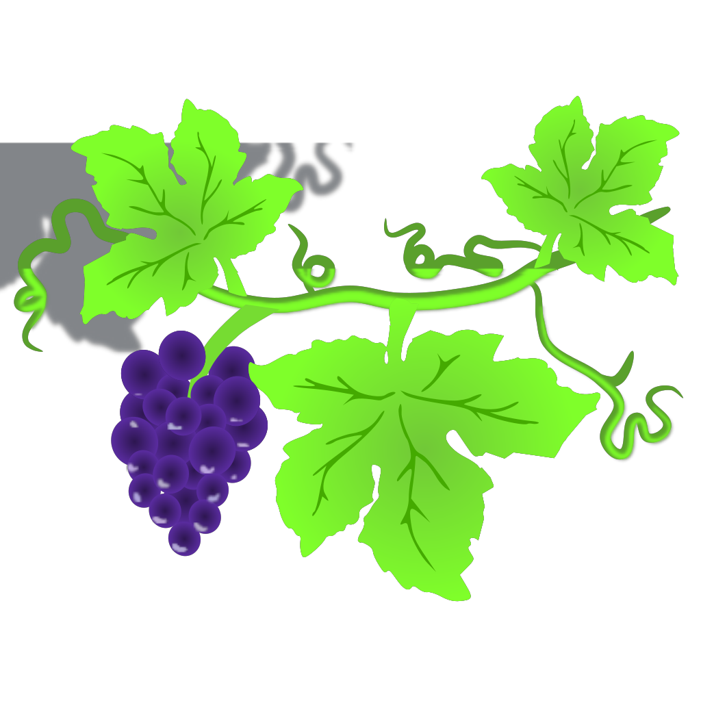 Fundo de Clipart de png de uva