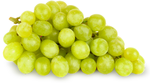 Fundo Transparente de uva