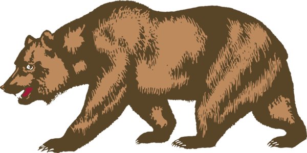 Grizzly Bear Download Free PNG