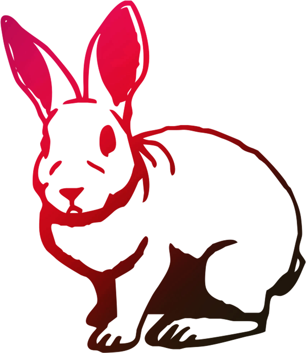 Hares Download Free PNG