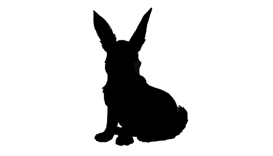 Hares PNG Free File Download