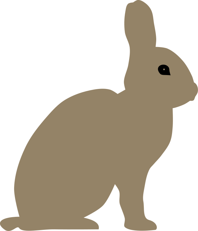 Hares PNG HD Quality